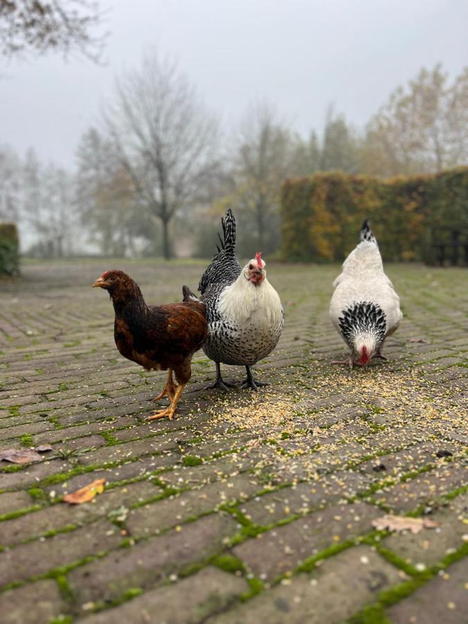 De Appelhoeve Terschuur Eksteriør billede